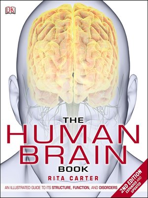 cover image of The Human Brain Book